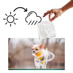 Imperméable à capuche pour chiens