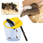 Piège à rats et souris par seau