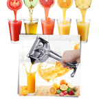 Pressoir à jus manuel