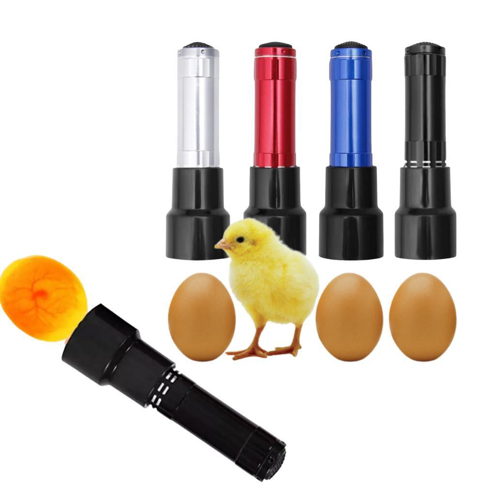 Mire oeuf