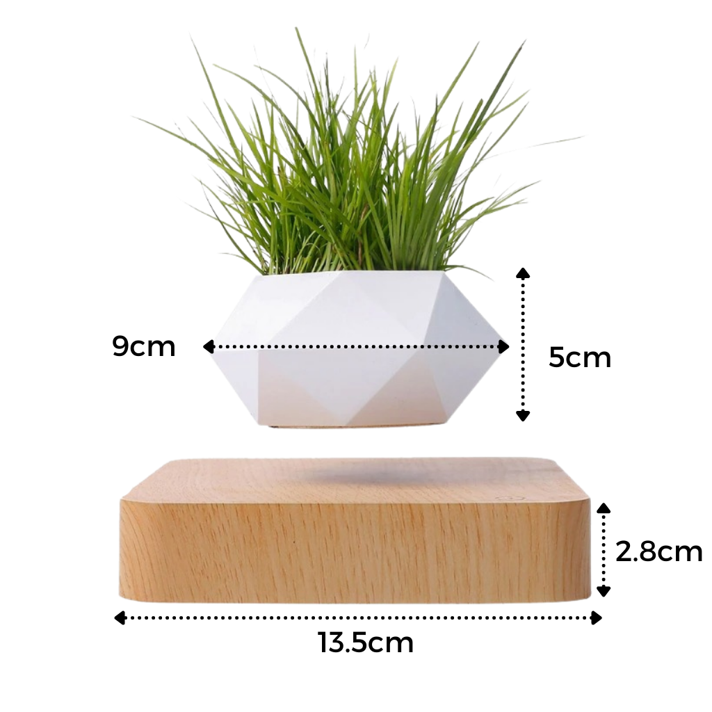 Pot à plante flottant en lévitation