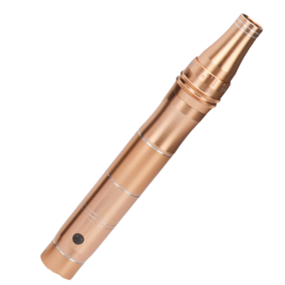 Stylo Dermique de Micro-aiguilletage