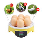 Mini incubateur automatique d'oeufs
