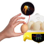 Mini incubateur automatique d'oeufs