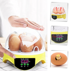 Mini incubateur automatique d'oeufs