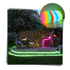 Fil LED néon coloré