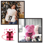 Ours en Roses
