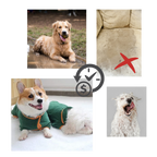 Peignoir super absorbant pour animaux de compagnie