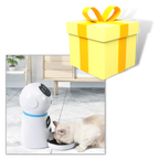Distributeur automatique de nourriture pour animaux de compagnie