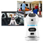 Distributeur automatique de nourriture pour animaux de compagnie