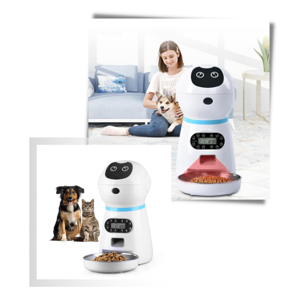 Distributeur automatique de nourriture pour animaux de compagnie