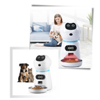 Distributeur automatique de nourriture pour animaux de compagnie