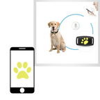 Collier de repérage GPS pour animaux de compagnie
