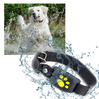 Collier de repérage GPS pour animaux de compagnie