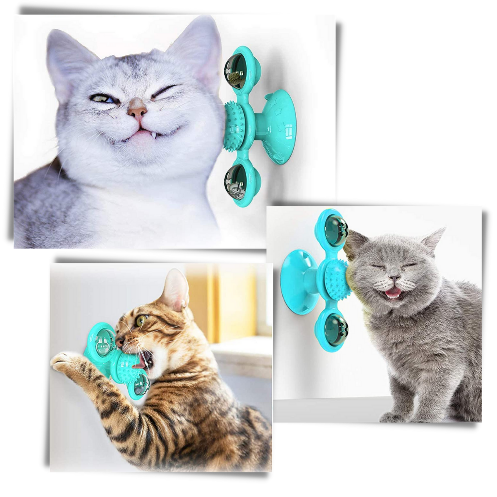 Jouet pour chat "moulin à vent rotatif" avec brosse