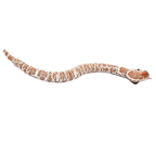 Jouet serpent interactif télécommandé pour chat