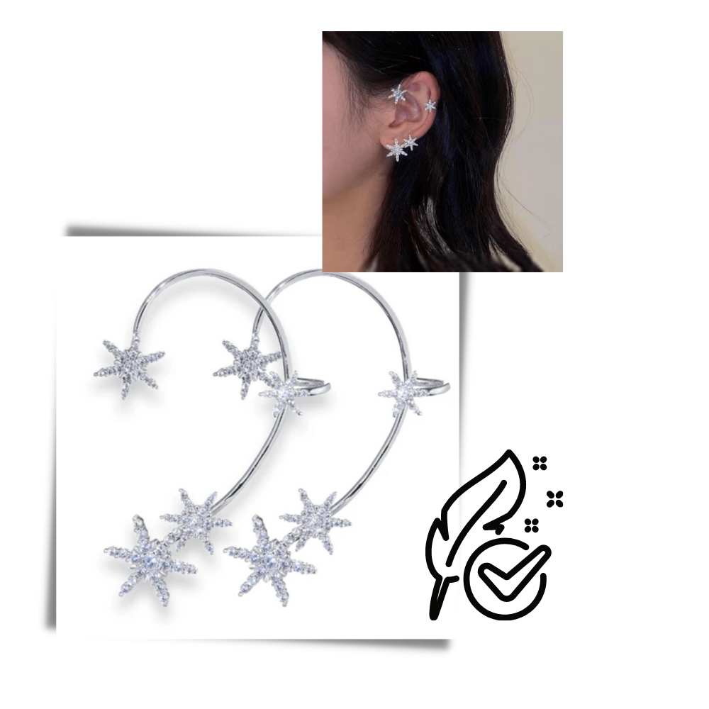 Paire de boucles d'oreilles à clip en zircone