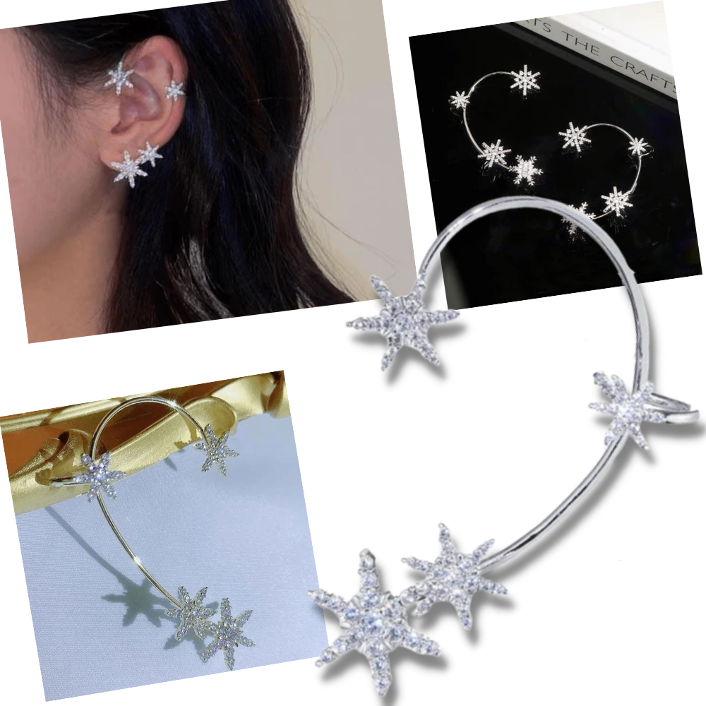 Paire de boucles d'oreilles à clip en zircone