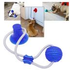 Balle avec ventouse pour chien
