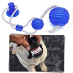 Balle avec ventouse pour chien