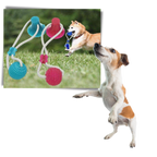 Balle avec ventouse pour chien