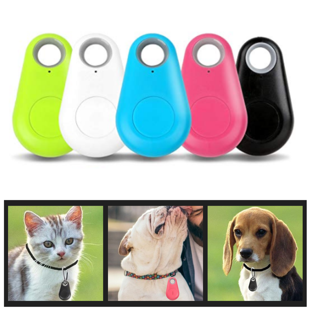 Traceur gps bluetooth pour animaux de compagnie