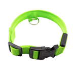 Collier lumineux pour animaux rechargeable par USB