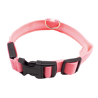 Collier lumineux pour animaux rechargeable par USB