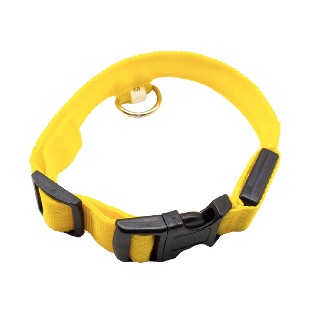 Collier lumineux pour animaux rechargeable par USB