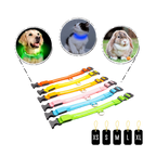 Collier lumineux pour animaux rechargeable par USB