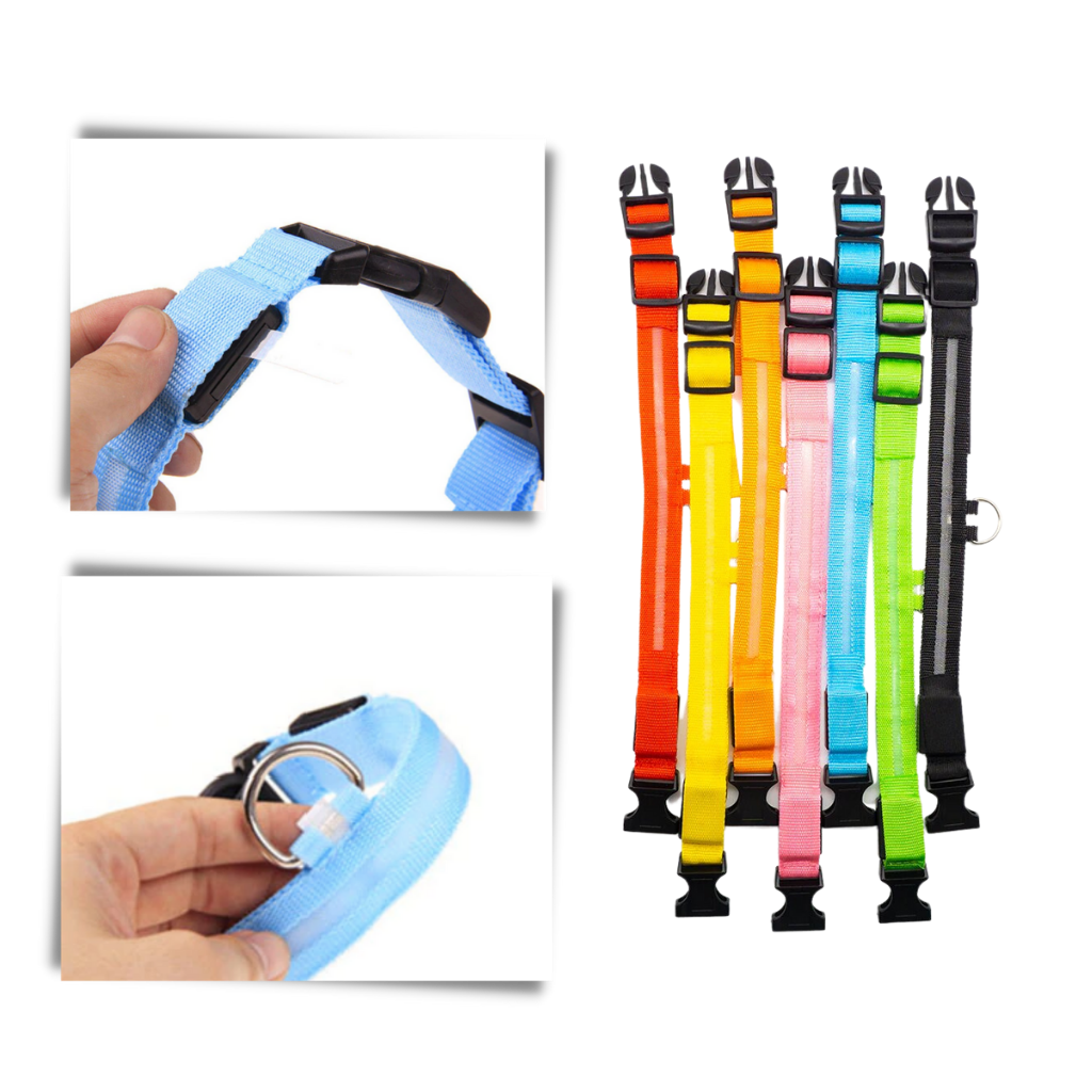Collier lumineux pour animaux rechargeable par USB