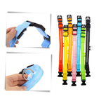 Collier lumineux pour animaux rechargeable par USB