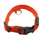 Collier lumineux pour animaux rechargeable par USB