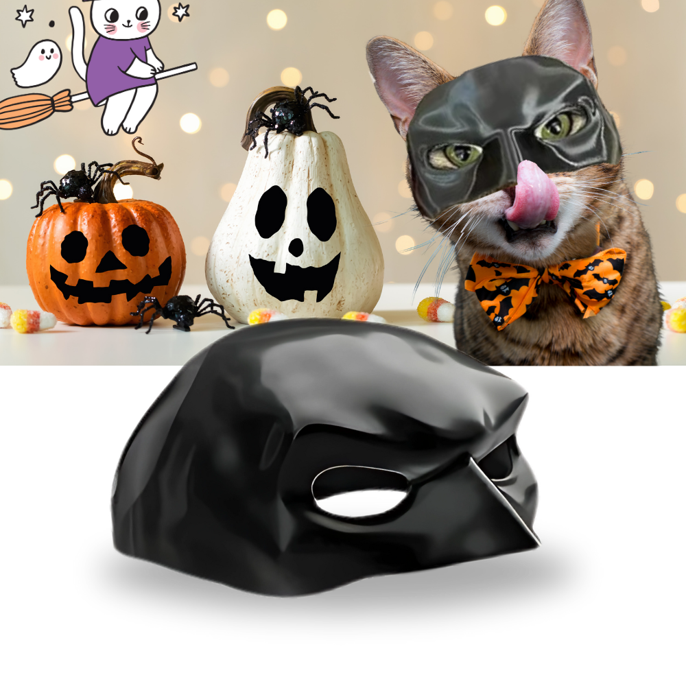 Irrésistible Masque Batman pour Chat