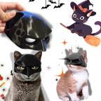 Irrésistible Masque Batman pour Chat