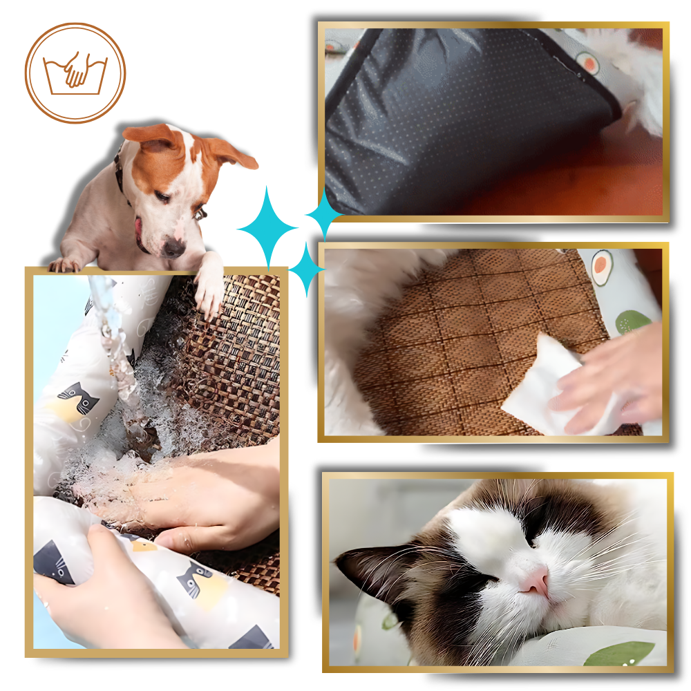 Tapis anti-dérapant et rafraîchissant pour animaux de compagnie