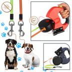 Laisse rétractable anti-enroulement pour chien