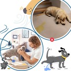 Phéromone apaisante pour animaux de compagnie