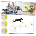 Lanceur de balles automatique  pour chiens