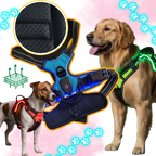 Harnais pour chien avec lumière LED clignotante