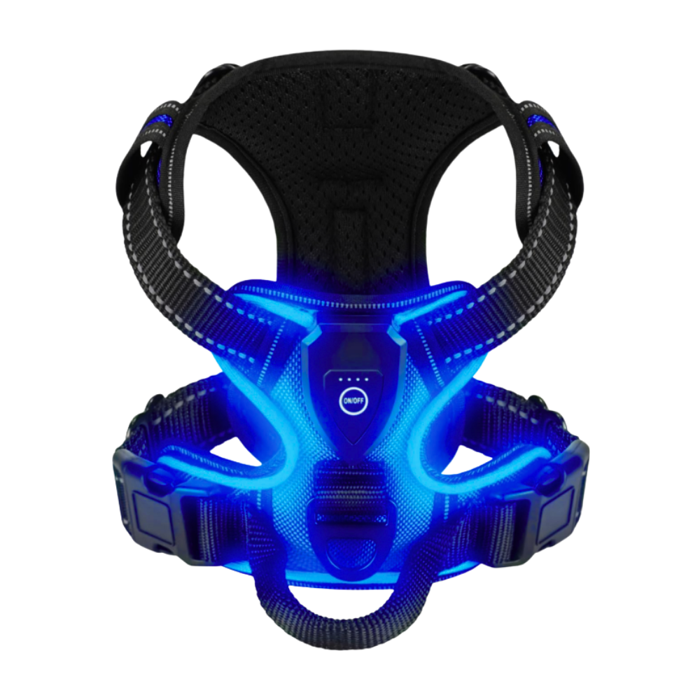 Harnais pour chien avec lumière LED clignotante