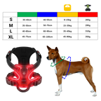 Harnais pour chien avec lumière LED clignotante