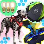 Harnais pour chien avec lumière LED clignotante