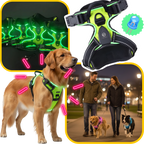 Harnais pour chien avec lumière LED clignotante