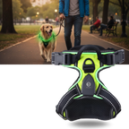 Harnais pour chien avec lumière LED clignotante