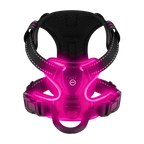 Harnais pour chien avec lumière LED clignotante