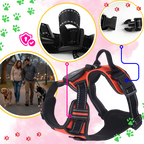 Harnais pour chien avec lumière LED clignotante