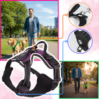 Harnais pour chien avec lumière LED clignotante