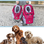 Sac à dos respirant de transport pour chien