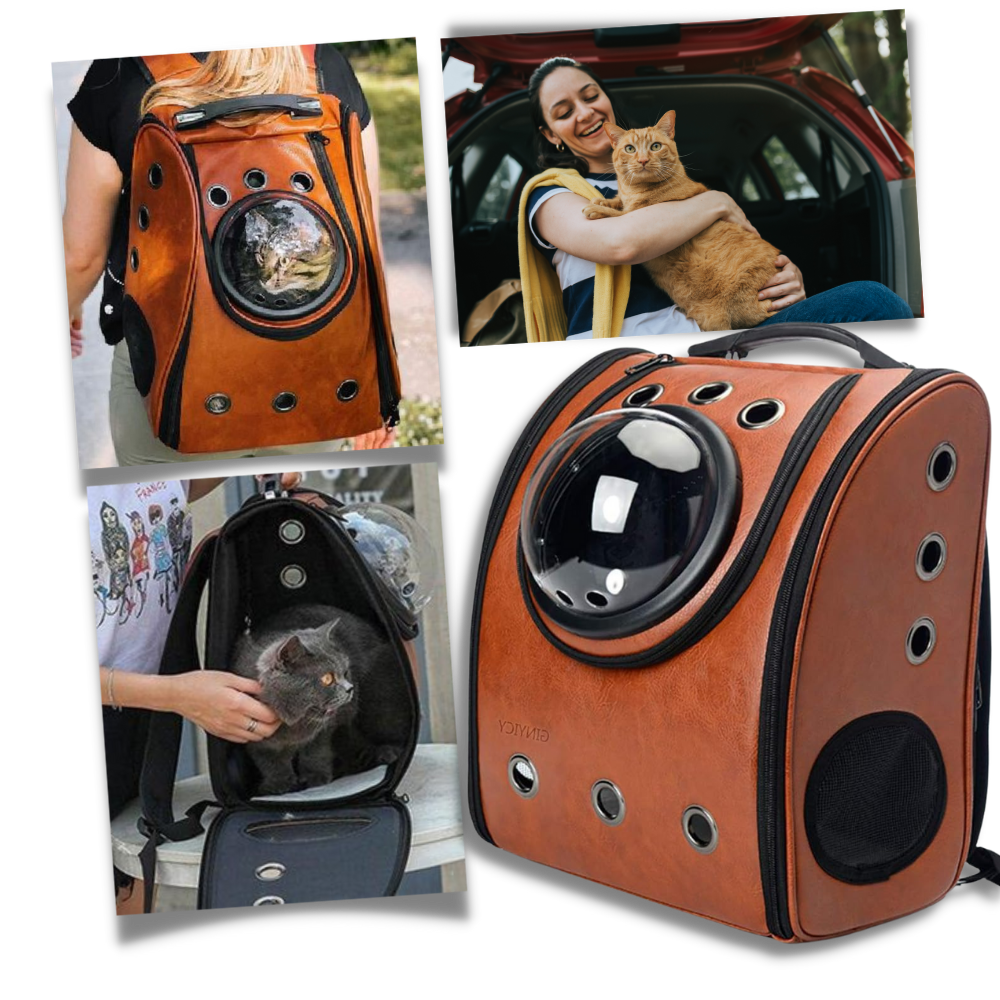Sac à dos de voyage pour chats